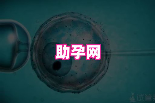 123试管孕网 4